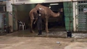 Les bosses du lavage de véhicules
