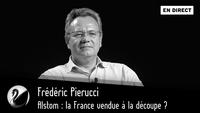 Thinkerview : Comment la France a perdu son indépendance énergétique 