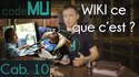 D'où provient le mot "wiki" ?
