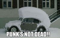 Punk's not dead