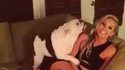 Trop fort ce chien !