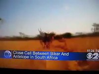 Une embrassade à la Sud-Africaine