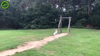 Petite tyrolienne