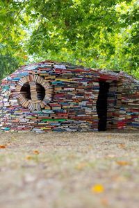 Cabane de livre