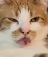 Je crois qu’il se fout de sa gueule