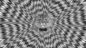 Regardez ce chat dans les yeux