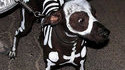 Skeledog