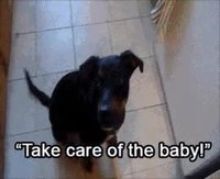 Un bon chien.