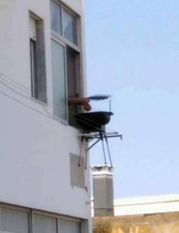 Quand tu n'as pas de jardin ...