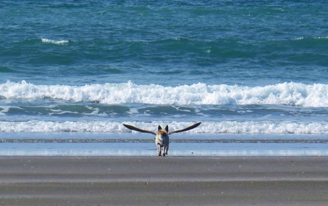 À la plage.