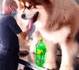 un gros chiot ?