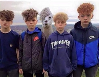 Jour 10, ils ne m'ont toujours pas repéré
