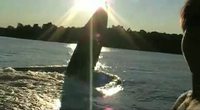 Wheelie en bateau