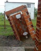 Quand le sol est alcalin ...