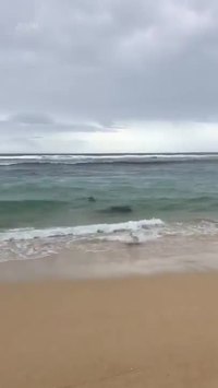 Concours de pêche