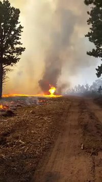 Tornade de feu