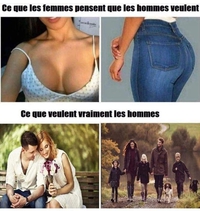 Elles sont si ignorantes 