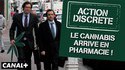 Le cannabis arrive en pharmacie !