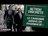 Le cannabis arrive en pharmacie !