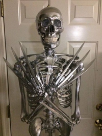 Squelette en adamantium 