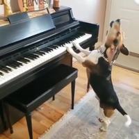 Jean-Sébastchien Bach