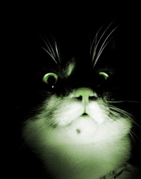 BOUH !!!