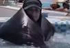 Hijacuzzi