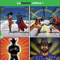 Fusion ultime
