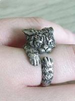 Un anneau pour les gouverner tous 