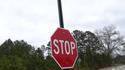 STOP ! Hammertime