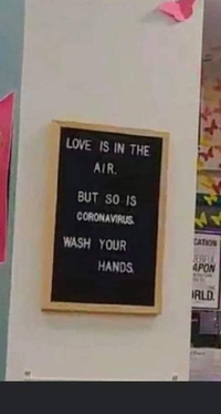 Un peu de romance dans ce monde de brute