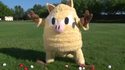 Pokémon IRL 2