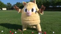 Pokémon IRL 2