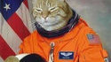 Cosmocat
