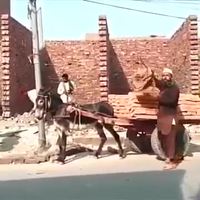 Comment décharger un âne