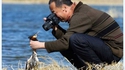 Un reporter animalier