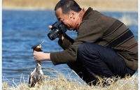 Un reporter animalier