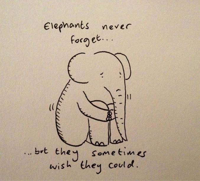 'Les éléphants n'oublient jamais mais, parfois, ils préfèreraient.'
(via Irish Wildlife Trust)