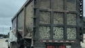 Chauffeur, suivez ce camion !