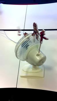 Fan de street fighter