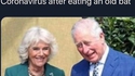 Pauvre Camilla !