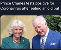 Pauvre Camilla !