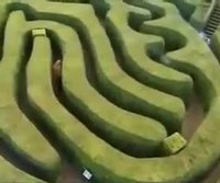Prank dans un labyrinthe