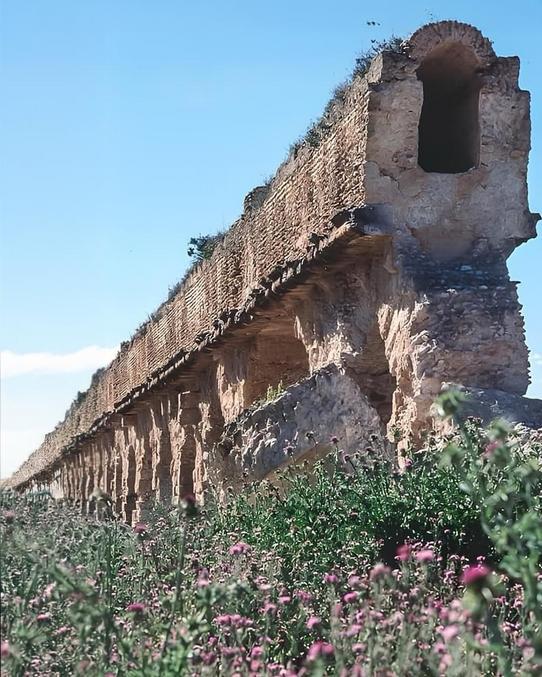 Vieux de près de 2 000 ans, l’aqueduc romain situé à Zaghouan, en Tunisie, est un exemple remarquable de l’ingénierie ancienne. S’étendant sur 132 kilomètres (82 miles), il fournissait historiquement de l’eau à Carthage.