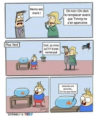 Nemo est mort