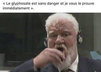 La vraie version des dires de Slobodan Praljak à la Haye.