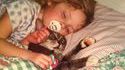 Chat peluche