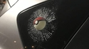 Kan t'as pas le temps de choper ton Pokédex