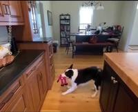 Sa chanson préférée