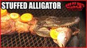 Recette d'alligator farci